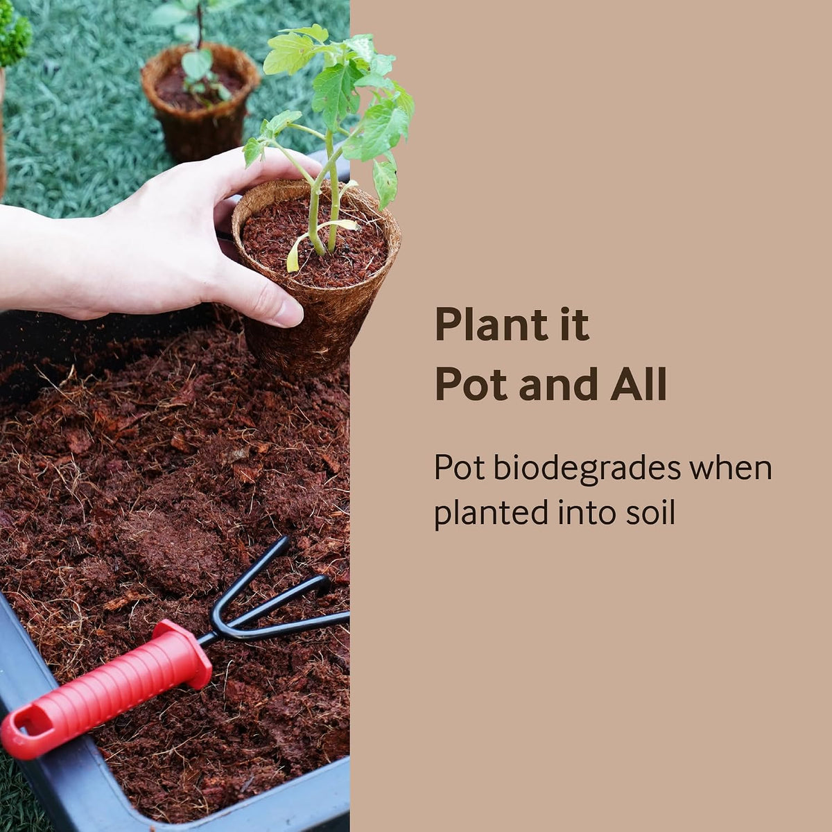 PlantBest 3 Inch Coconut Coir Biodegradable Pots - 22-Pack