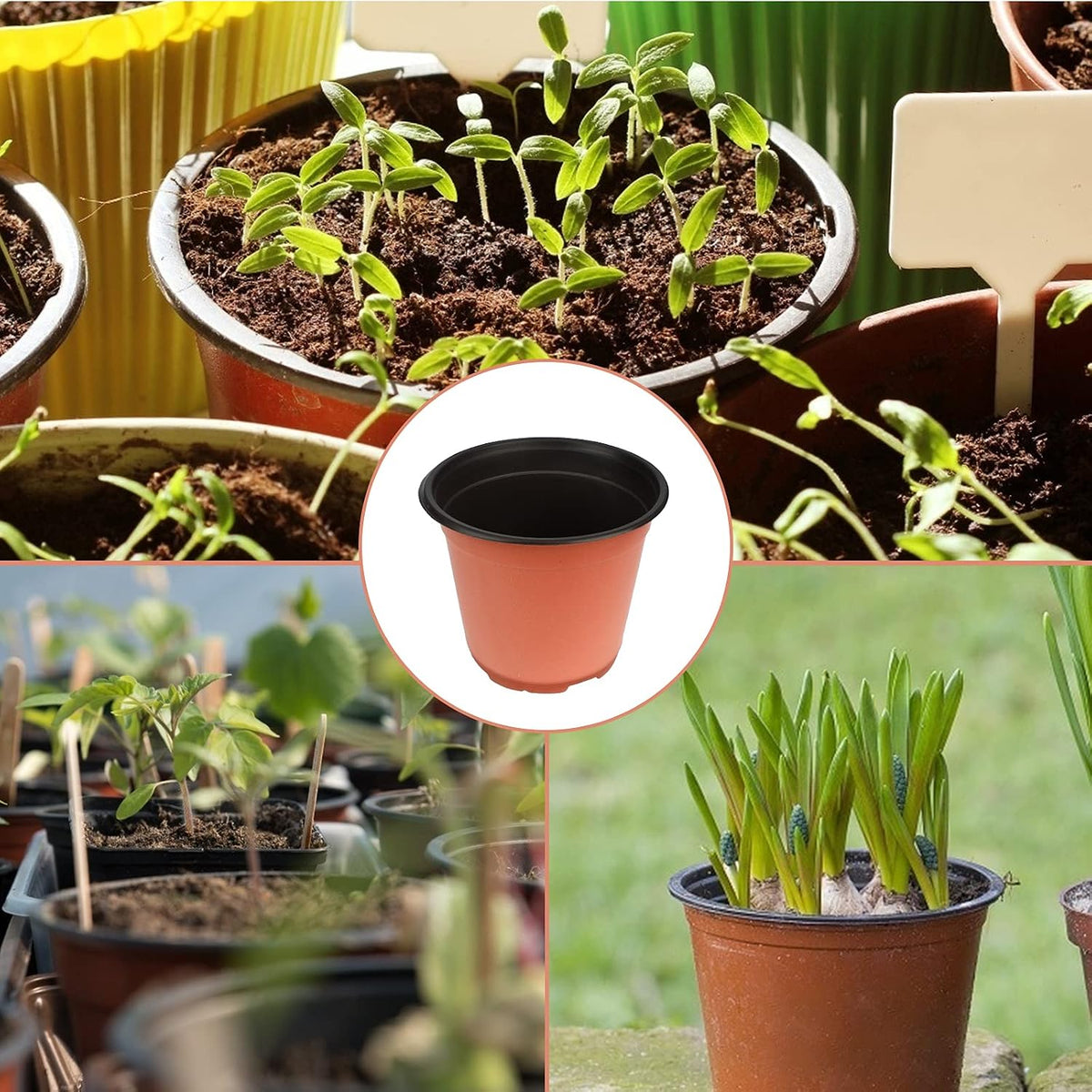 KINGLAKE 50 Pcs 6" Plastic Plants Nursery Seedlings Pot/Pots Flower Plant Container Seed Starting Pots for Plant