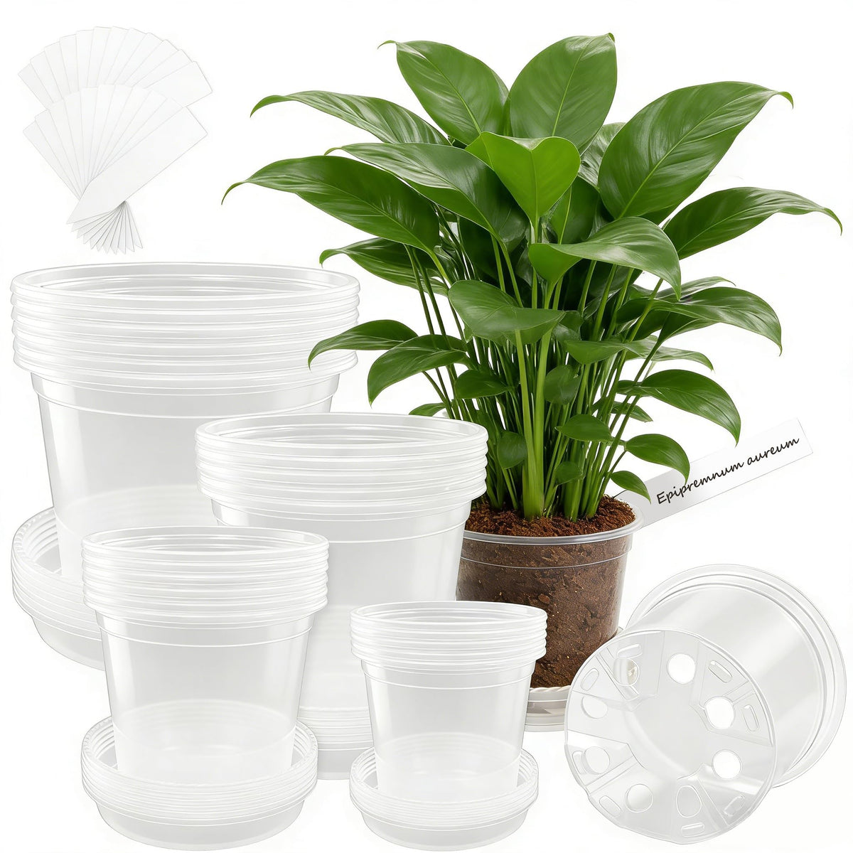 30 Pack Clear Nursery Plant Pots, 4 Inch with Drainage Holes, 20 Labels