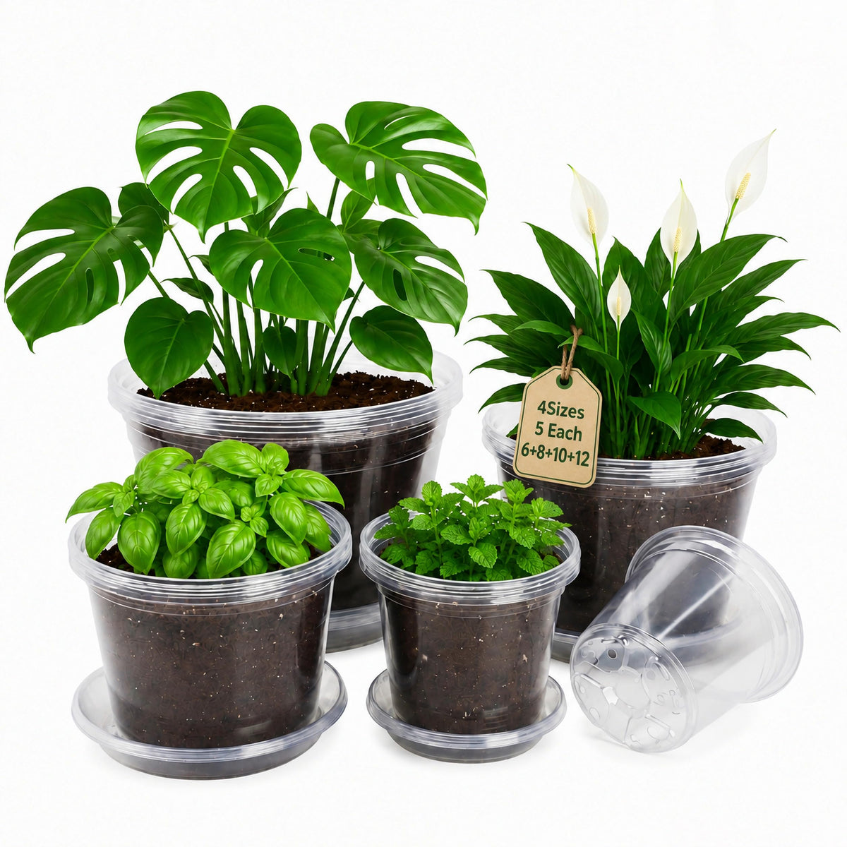 Bluepro Clear Nursery Pots with Drainage Holes, 3.5/4/5/7 Inch, 36-Pack
