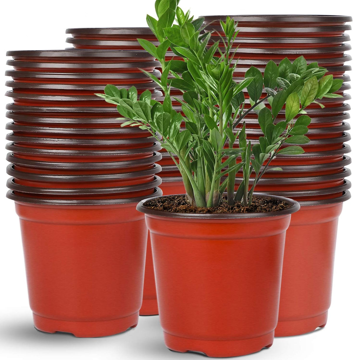 Augshy 110 Pcs 6 Inches Plastic Plants Nursery Pot, Seed Starting Pots