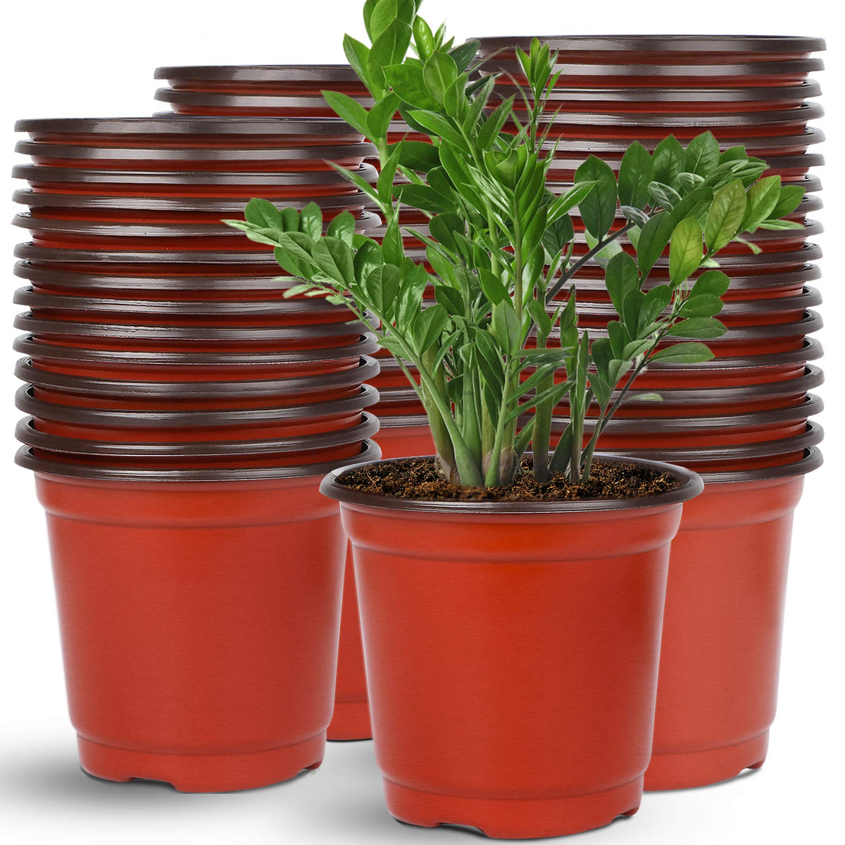 Augshy 110 Pcs 6 Inches Plastic Plants Nursery Pot, Seed Starting Pots