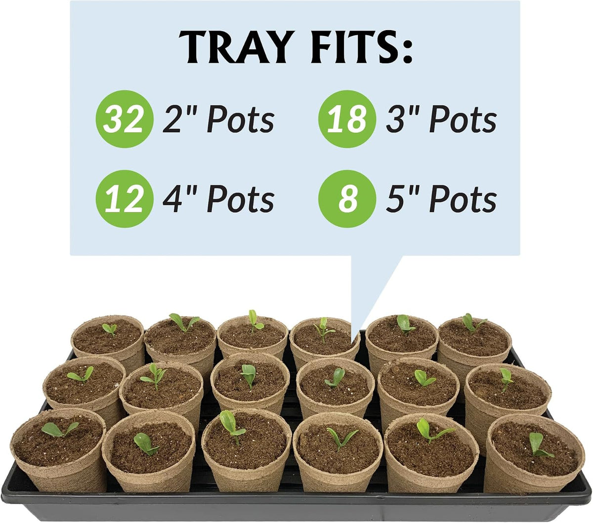 Jiffy Plant Germination Tray - Watertight, Lightweight - 10.75 x 21 in, 2 in Tall - 10-Pack - Plastic