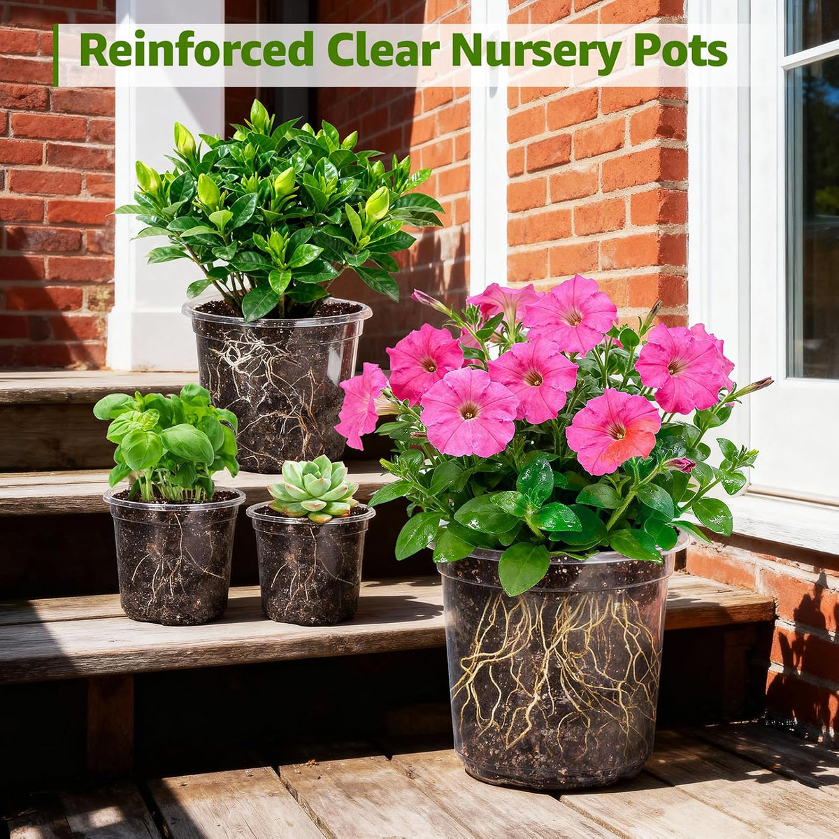 MIXC Clear Nursery Pots with Drainage Holes, 7/5/4/3.5 Inch 36 Pack