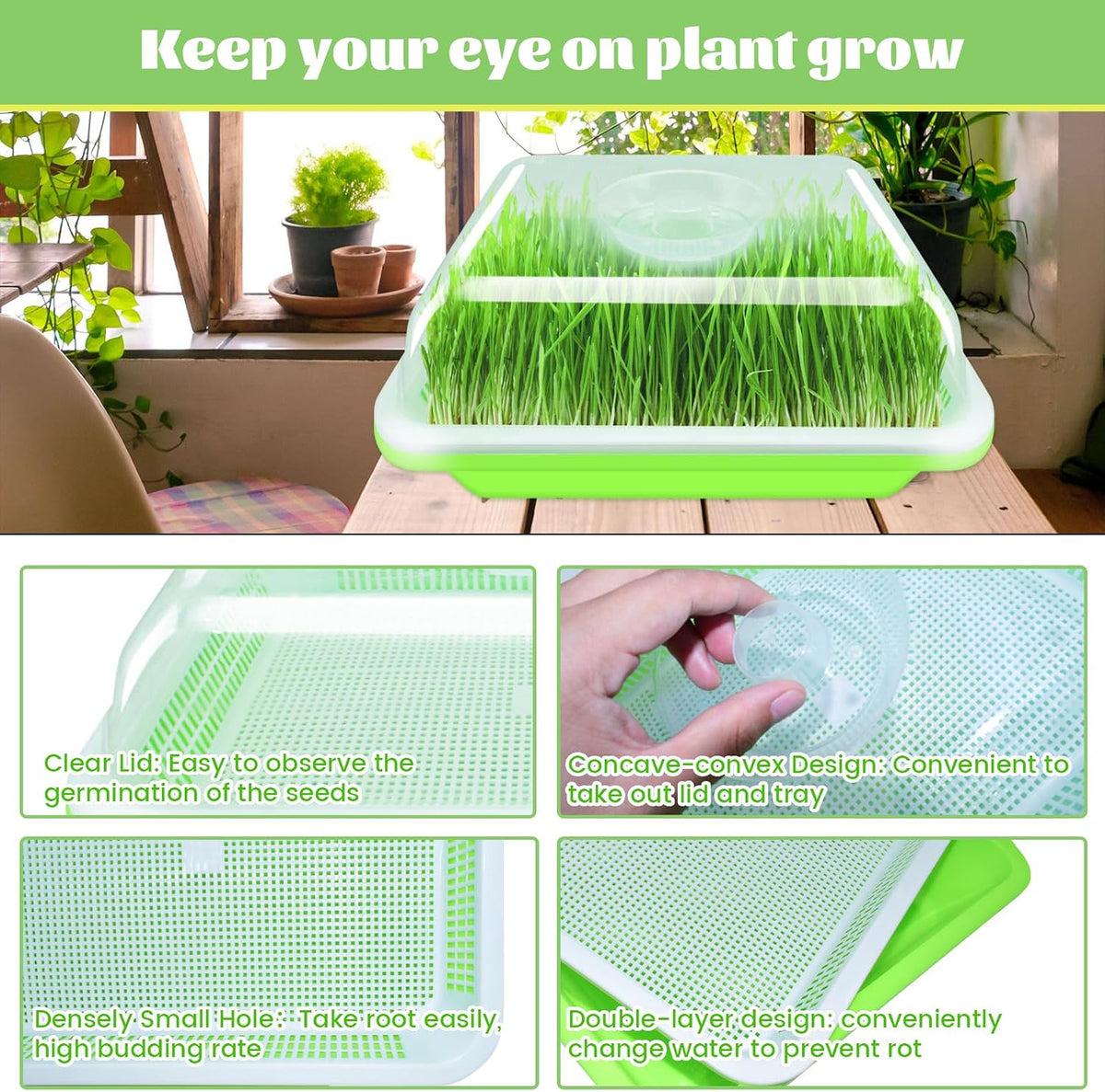 Legigo 5 Pack Seed Sprouter Trays with Lids, Microgreens Growing Trays Kit