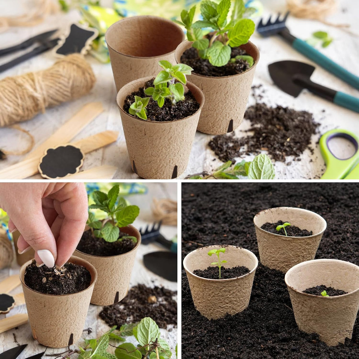 150 Pcs Peat Pots 3.15 Inch Seed Starting Pots with Drainage Holes