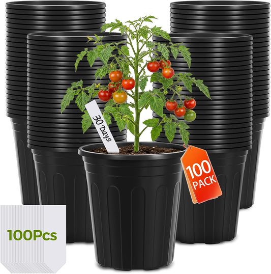 GroTheory 100 Pack 1 Gallon Nursery Pots, 6.7 Inch Plastic Pots for Plants