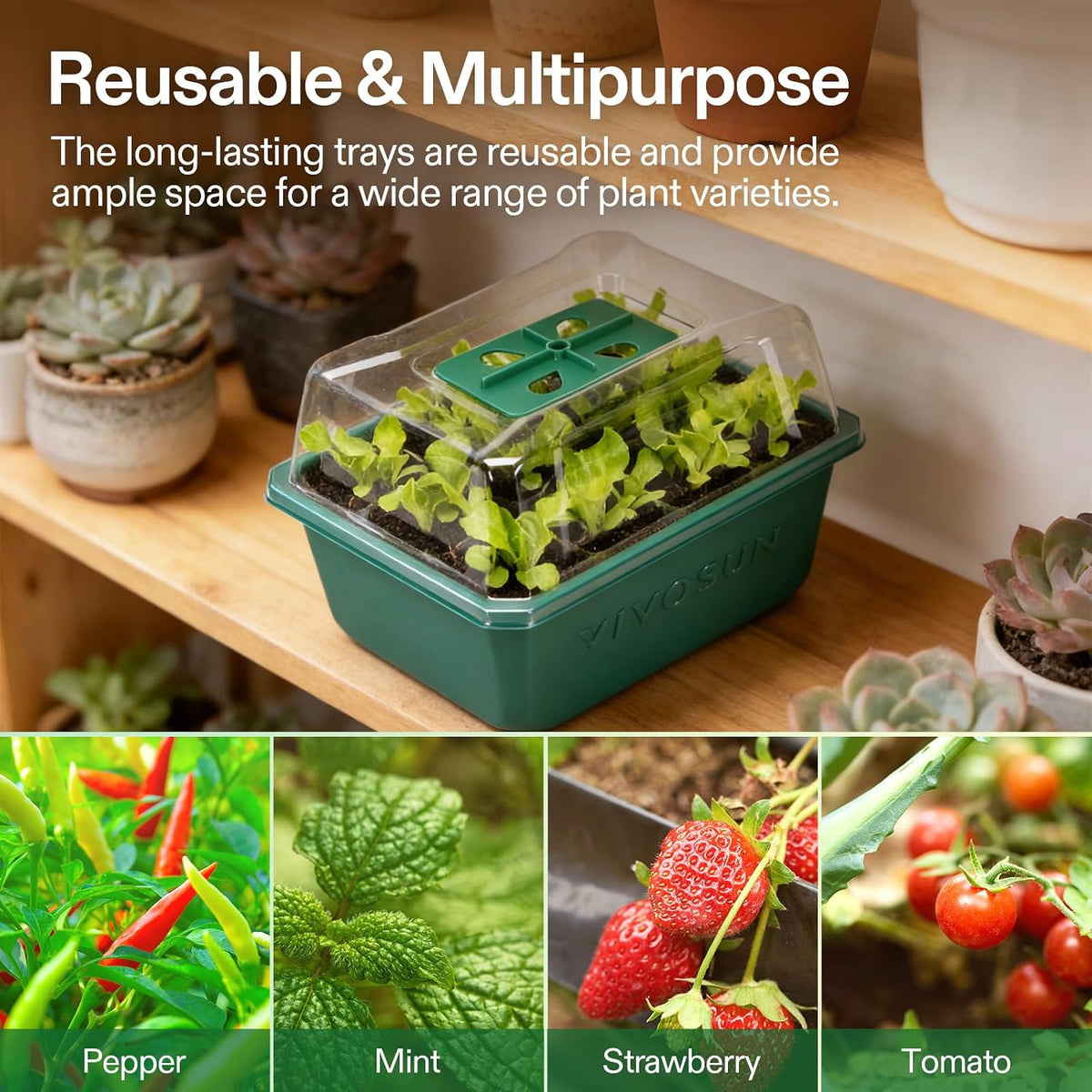 VIVOSUN 6-Pack Seed Starter Trays, 72-Cell Starter Kit with Humidity Dome