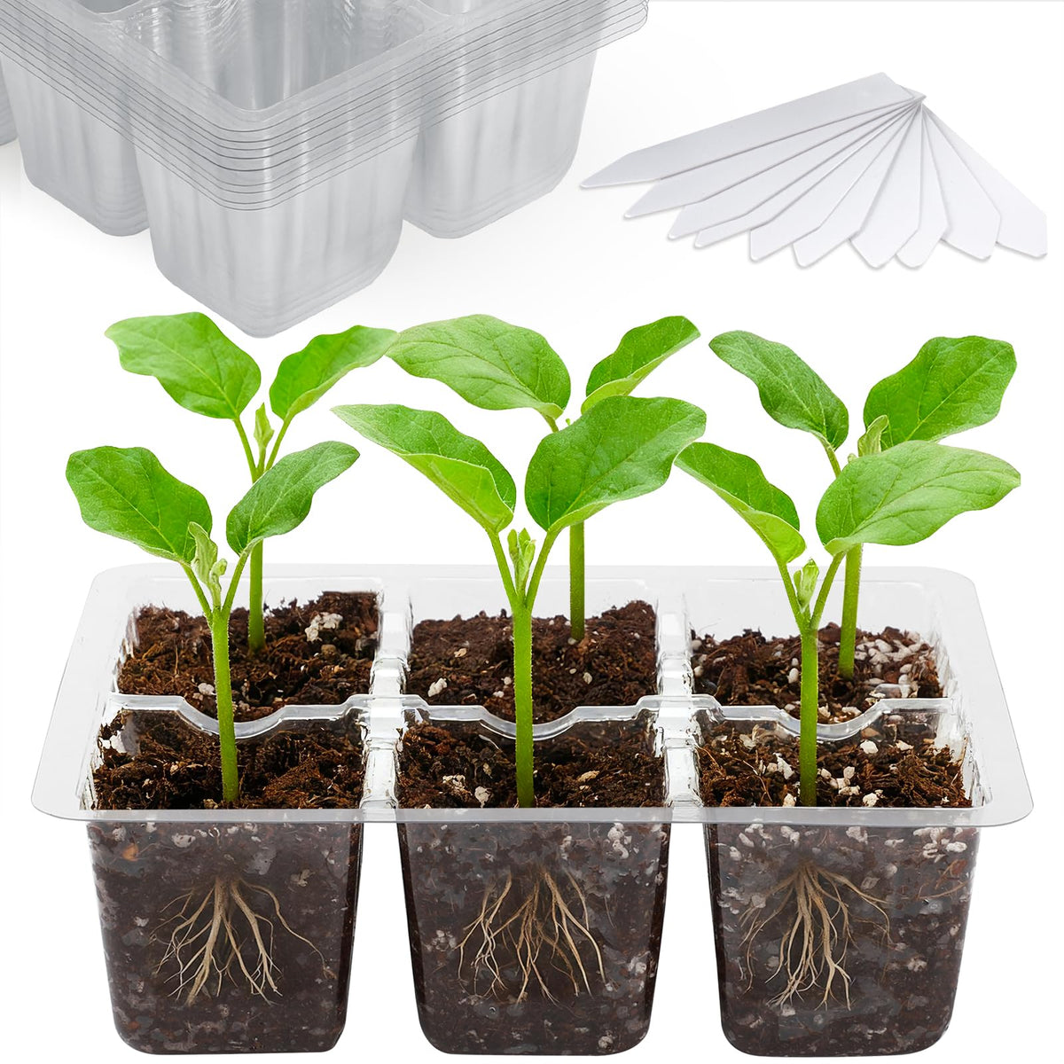 Bonviee 10-Pack Seed Starter Trays, Tall Dome, Base, 12-Cell Tray, Clear