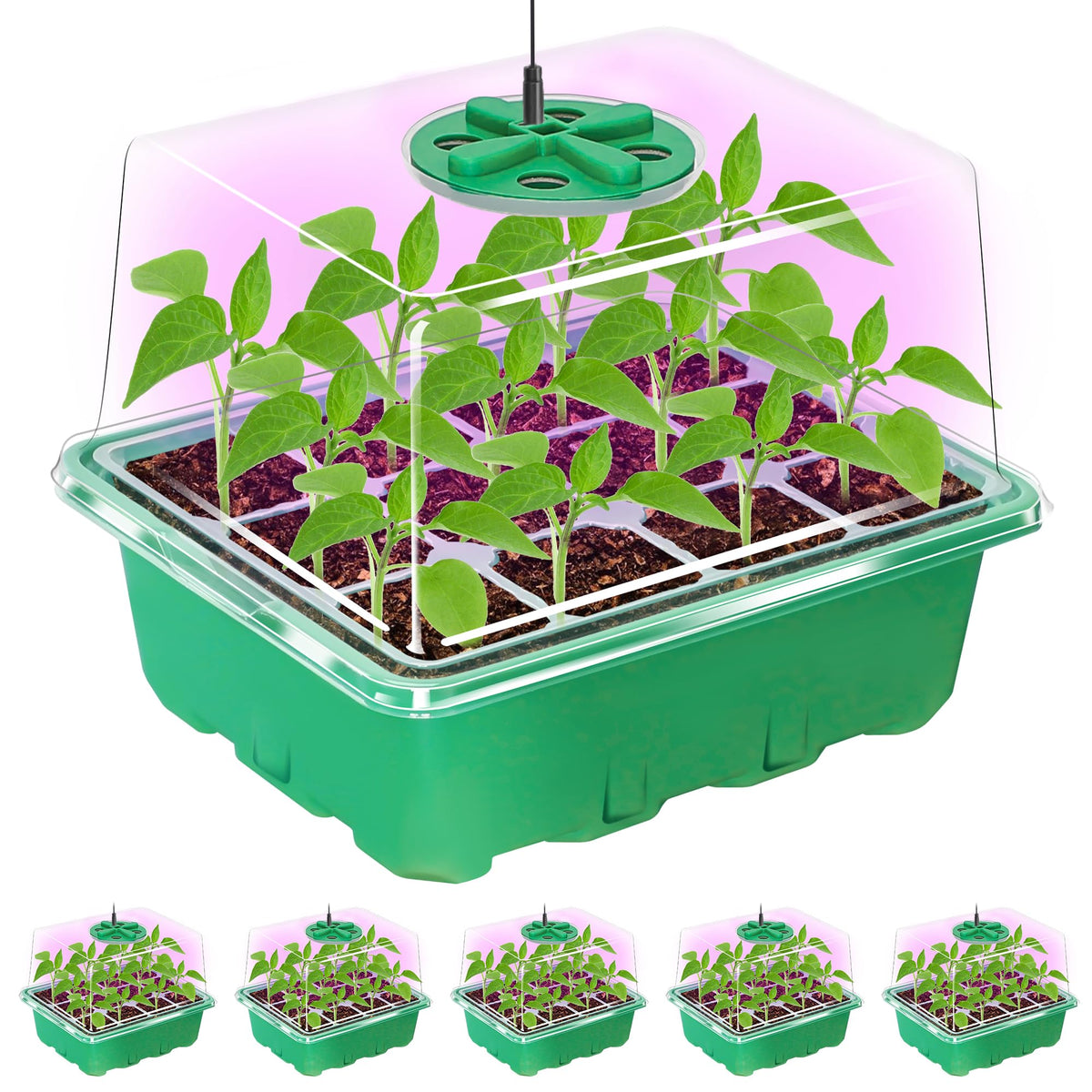 Bonviee Seed Starter Trays with 12-LED Grow Lights, Clear, 5 Pack