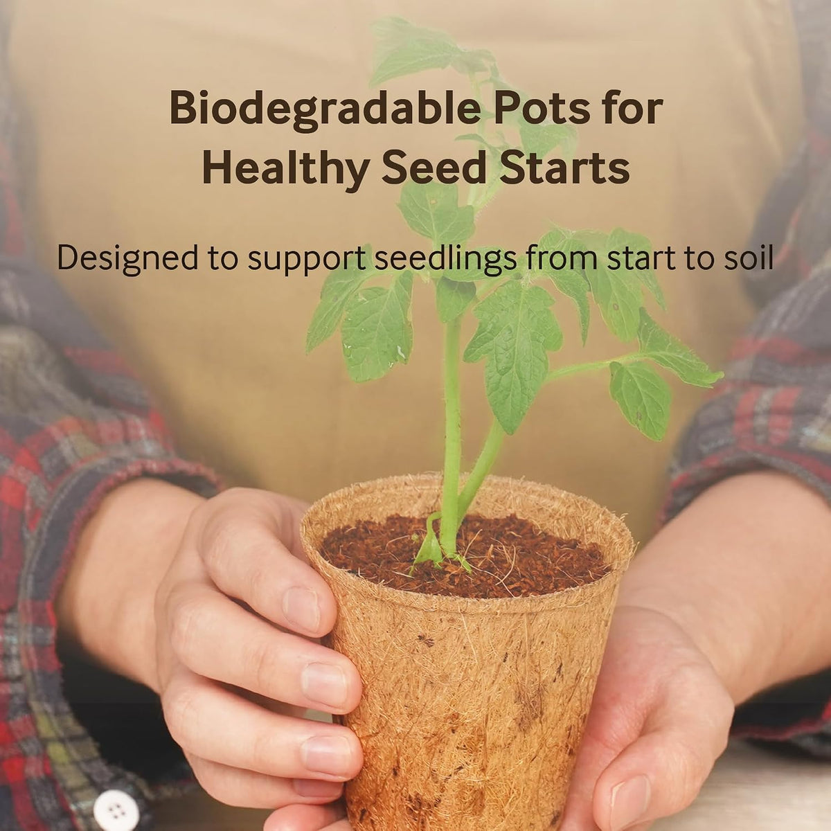 PlantBest 3 Inch Coconut Coir Biodegradable Pots - 22-Pack