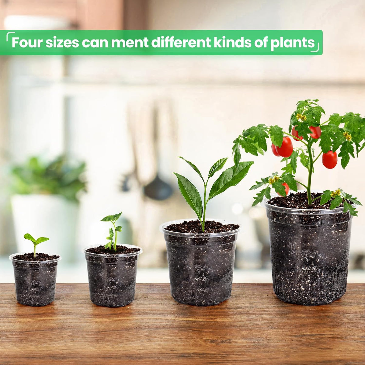 Bluepro Clear Nursery Pots with Drainage Holes, 3.5/4/5/7 Inch, 36-Pack