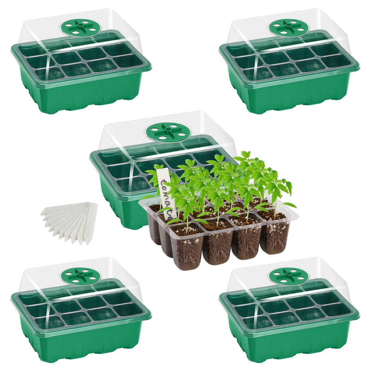 Bonviee 10-Pack Seed Starter Trays, Tall Dome, Base, 12-Cell Tray, Clear