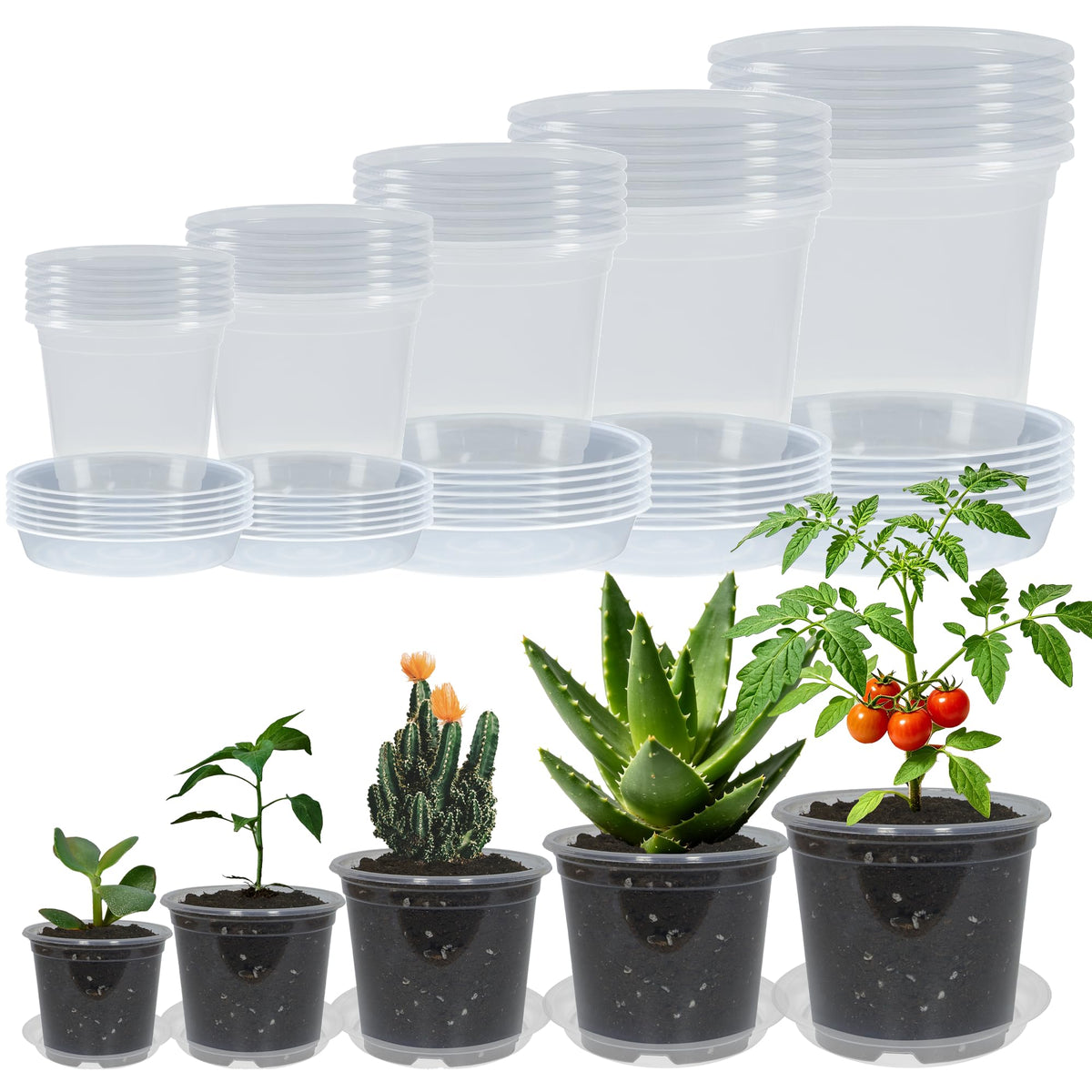 20 Pack 4 Inch Clear Nursery Pots with Drainage and 20 Pack Plant Saucers, Plant Pots for Plants Transparent Potting Containers for Plants Seeding Starter Pot (Clear, 4 Inch)