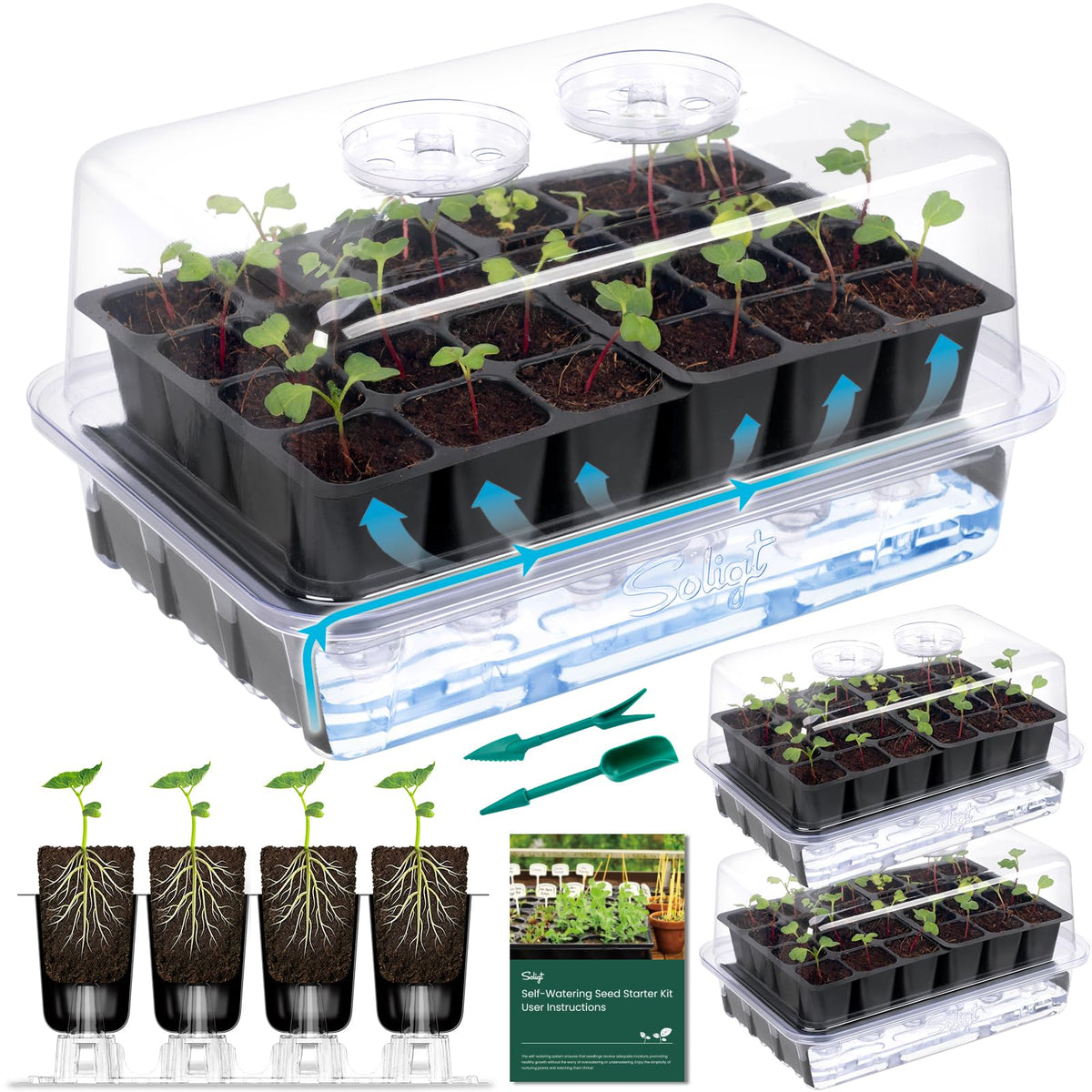 SOLIGT Self Watering Seed Starter Trays with Humidity Domes 6 Pack 144 Cell