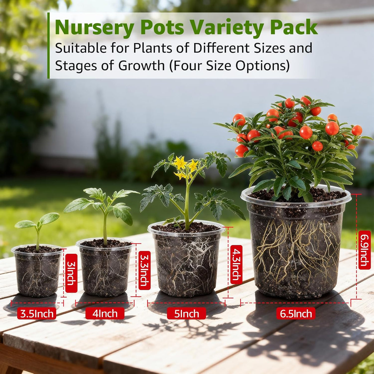 MIXC Clear Nursery Pots with Drainage Holes, 7/5/4/3.5 Inch 36 Pack