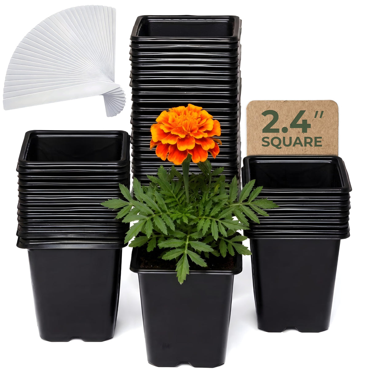 CARPATHEN Nursery Pots for Plants with Drainage Holes, 3.5 inch, 60 Pack