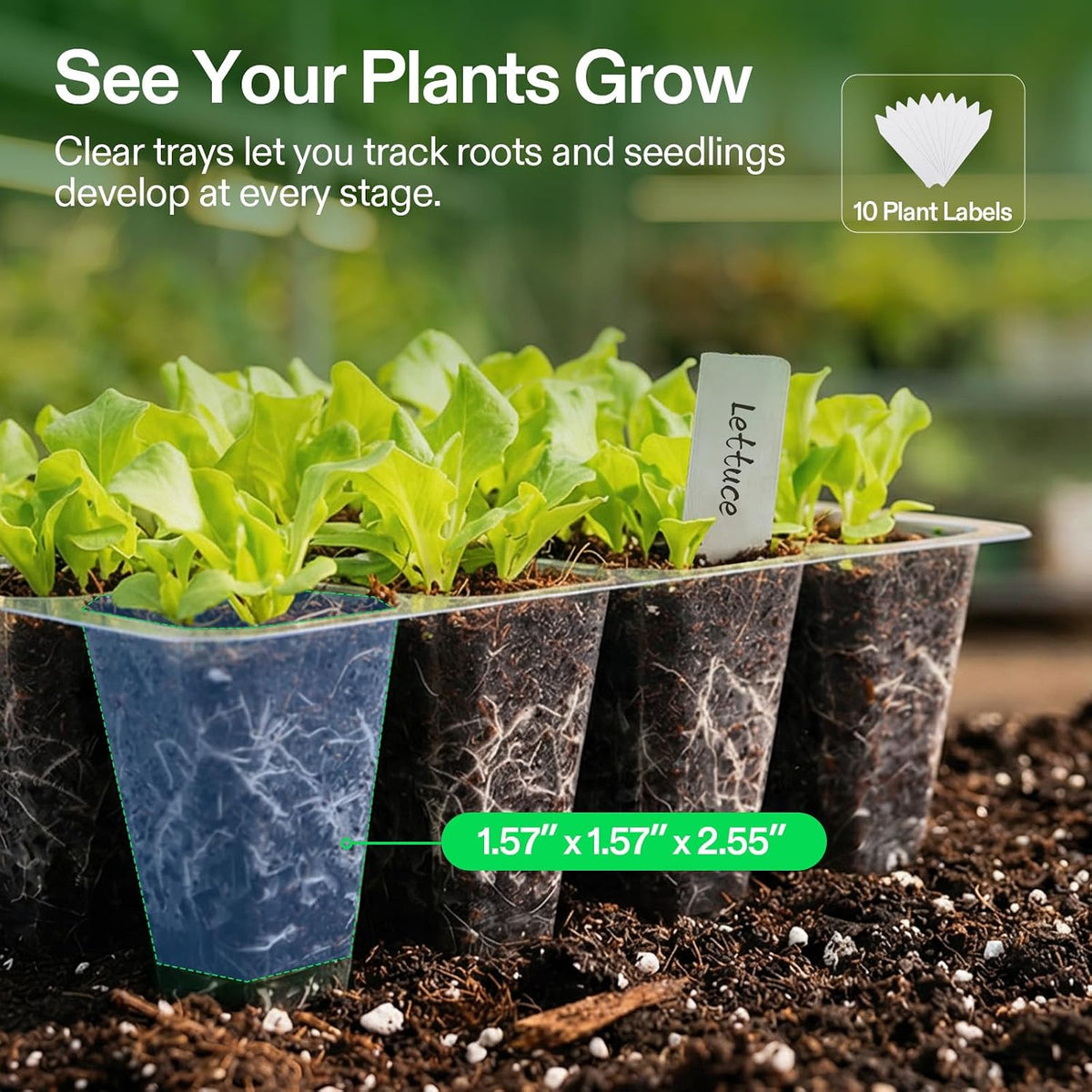 VIVOSUN 6-Pack Seed Starter Trays, 72-Cell Starter Kit with Humidity Dome