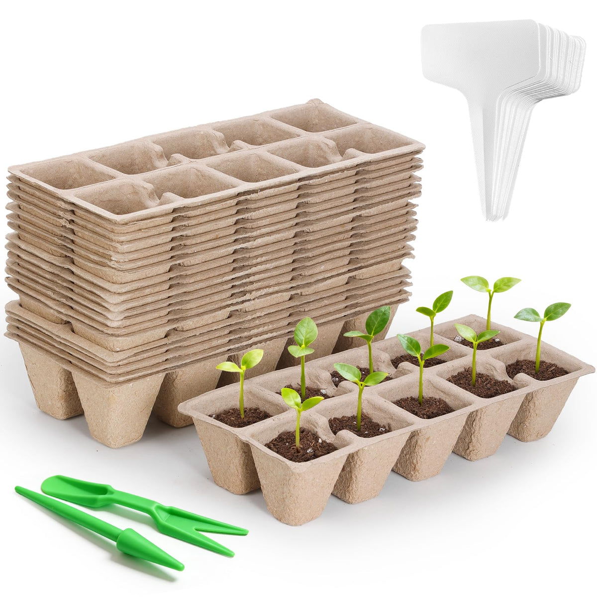 200 Cells Seed Starter Tray, 20 Pcs Biodegradable Plant Starter Peat Pots(Including T-Type Labels & Starter Tools)– Eco-Friendly Gardening Supplies, No Transplant Needed