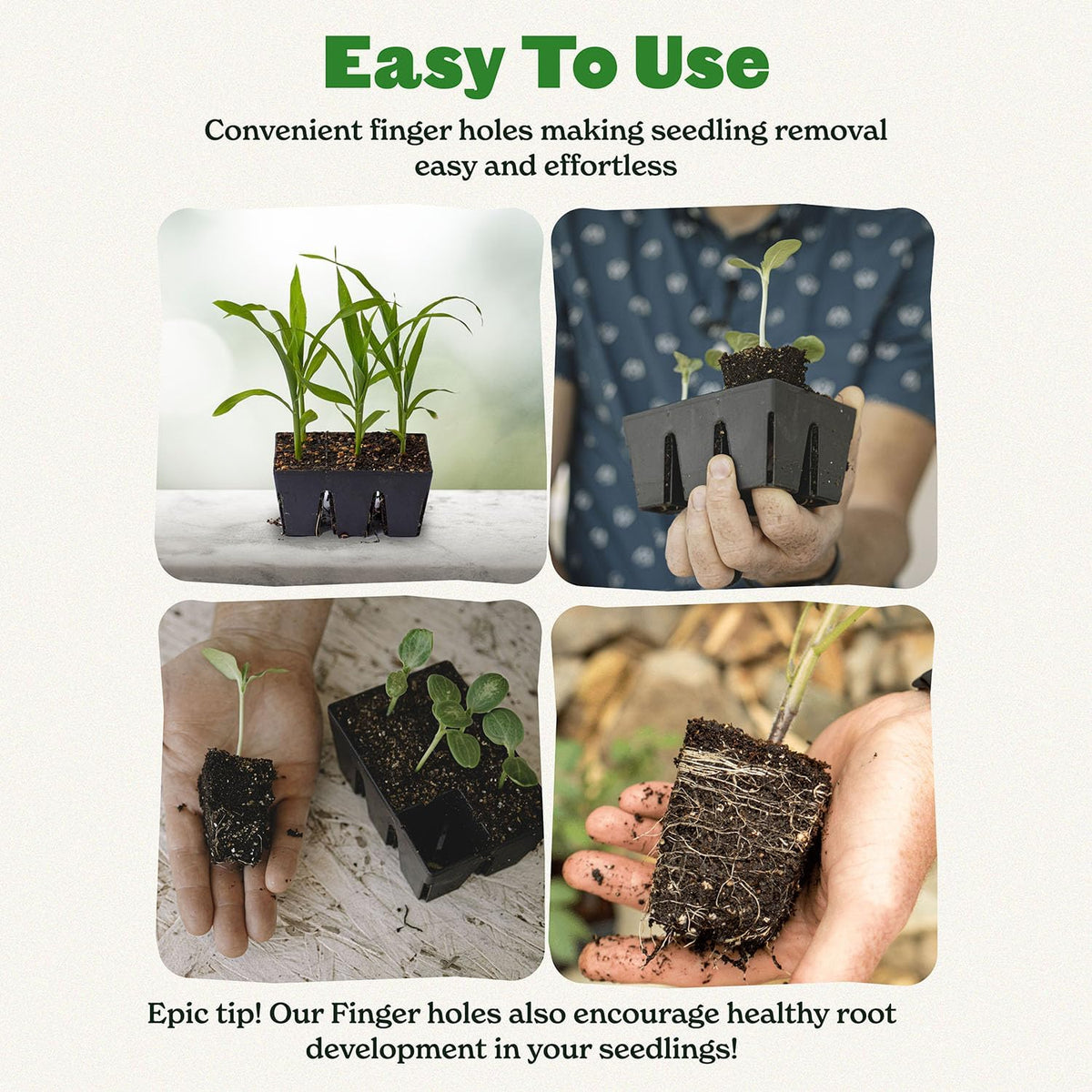 Epic Gardening 6-Cell Seed Starter Tray - 6 Trays - Black