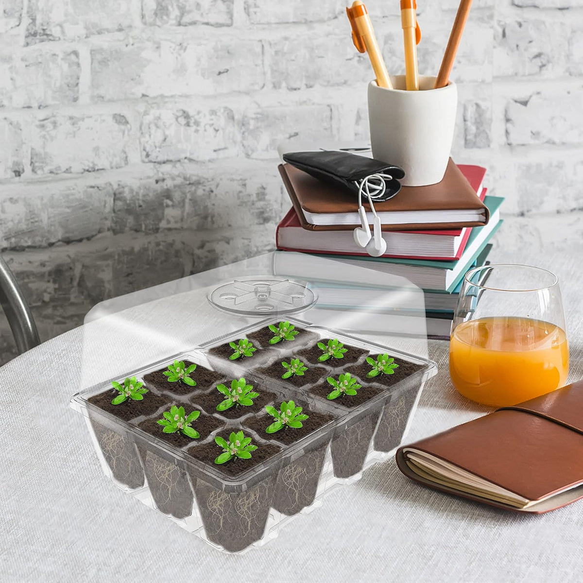 Gardzen 10 Pack Seed Starter Trays with Dome and Clear Base 120 Cell