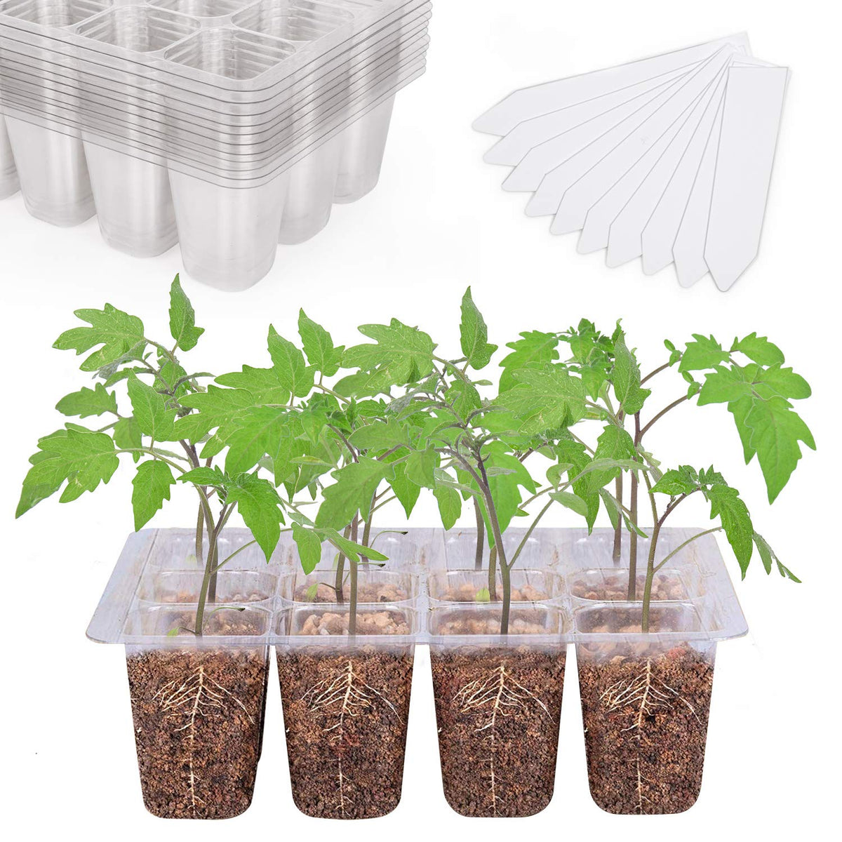 Bonviee 10-Pack Seed Starter Trays, Tall Dome, Base, 12-Cell Tray, Clear