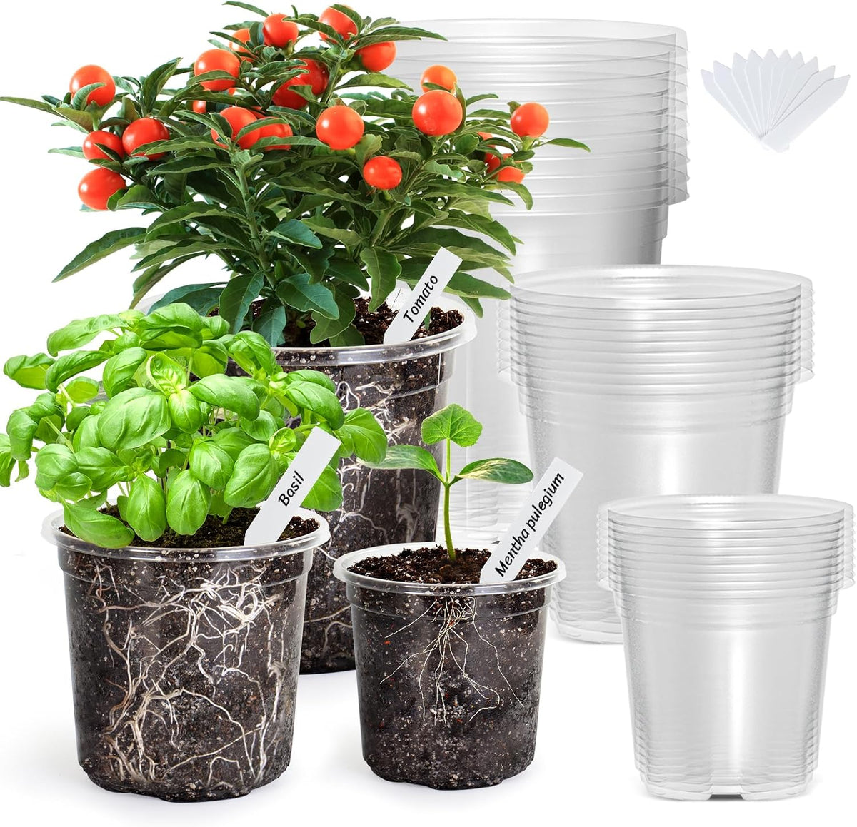 Bonviee Clear Nursery Pots with Drainage Holes, 4/5/7 Inch, 30-Pack