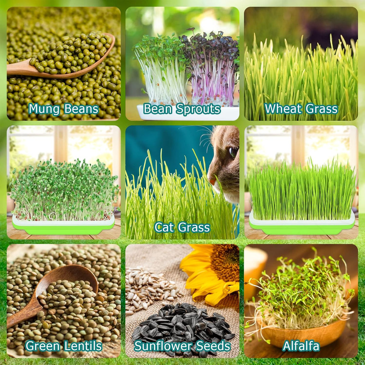 Legigo 10 Pack Seed Sprouter Trays, Microgreens Growing Trays Kit