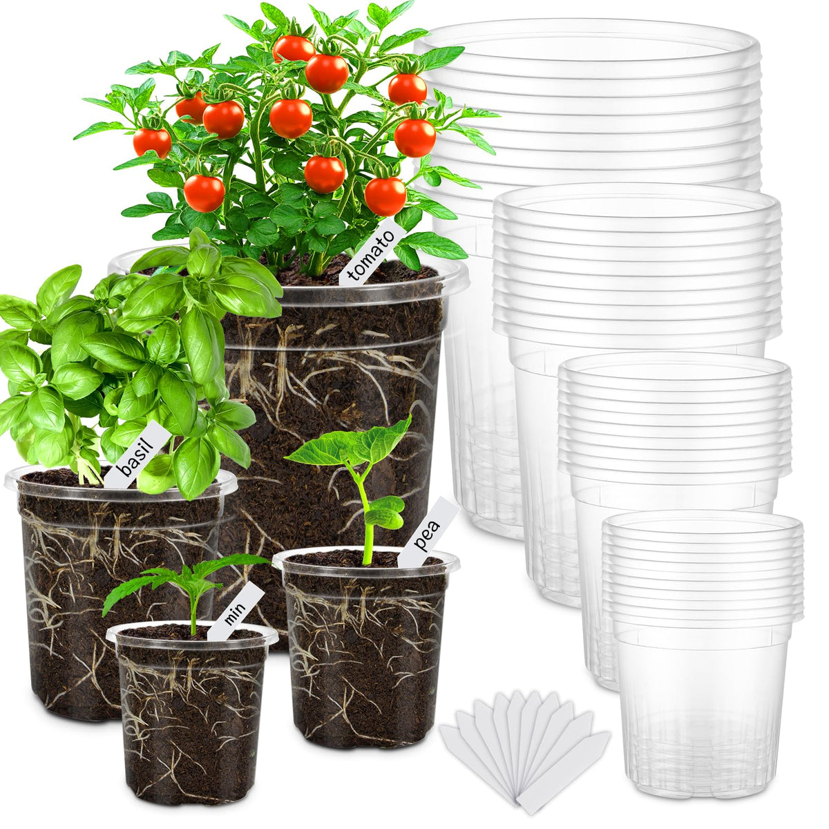 30 Pack Clear Nursery Plant Pots, 4 Inch with Drainage Holes, 20 Labels