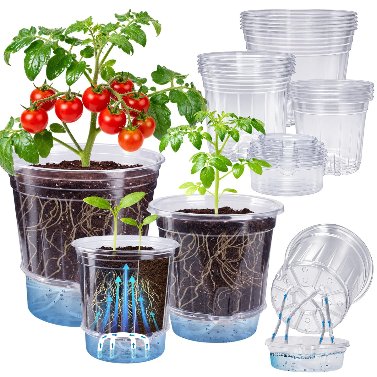 Bluepro Clear Nursery Pots with Drainage Holes, 3.5/4/5/7 Inch, 36-Pack