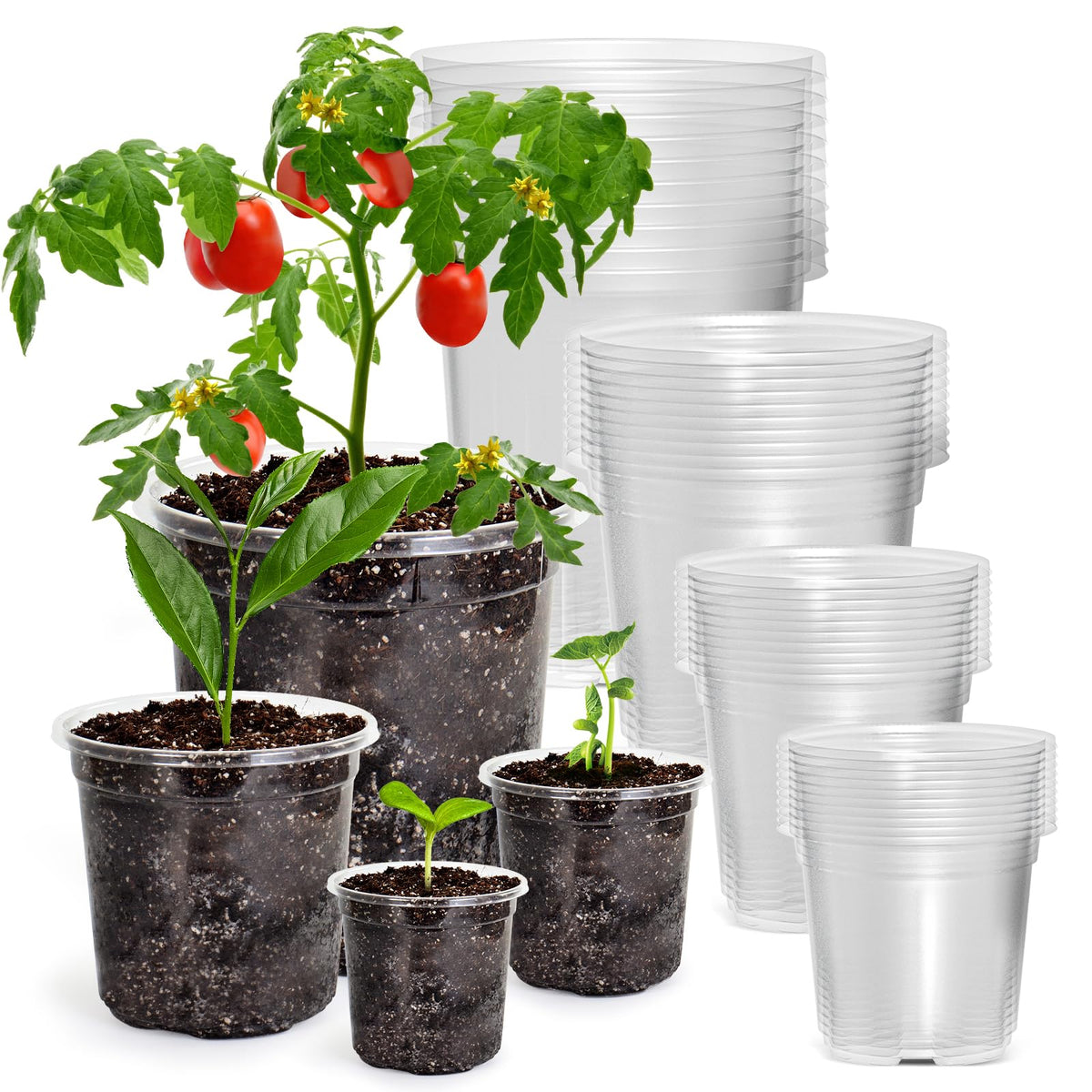 Bluepro Clear Nursery Pots with Drainage Holes, 3.5/4/5/7 Inch, 36-Pack