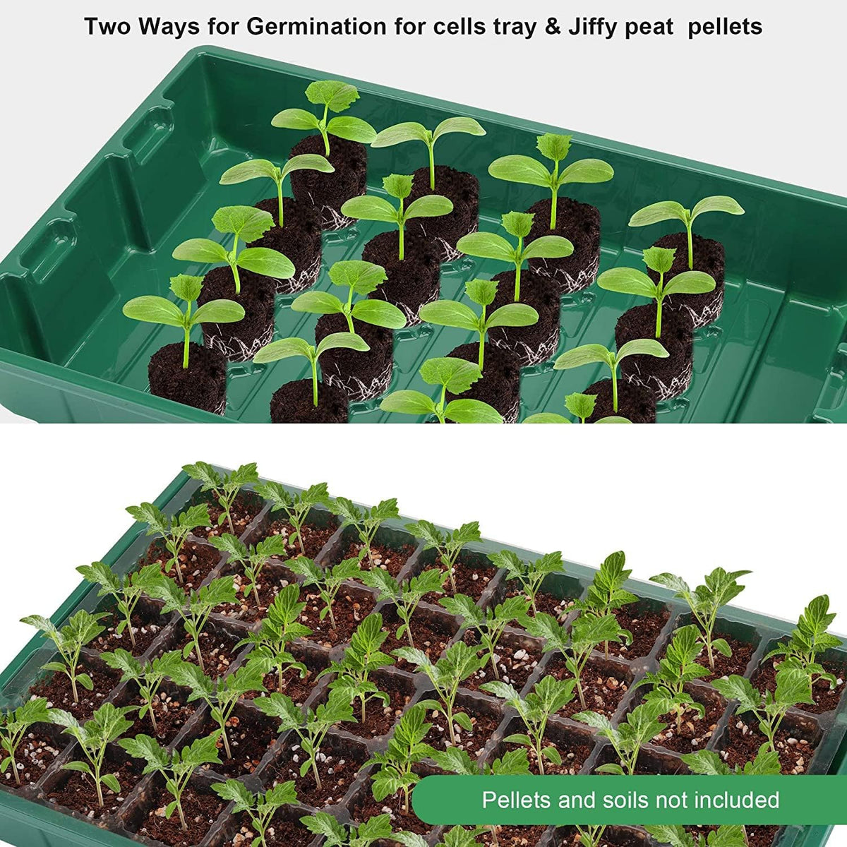 MIXC 5 Pack Seed Starter Tray, 200Cell Mini Propagator Greenhouse Grow Kit