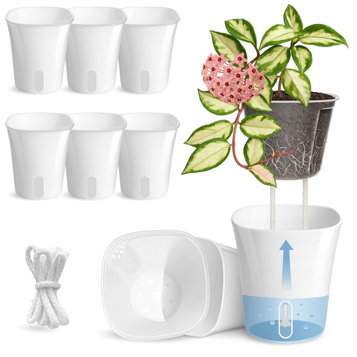 10 Pack 3" Self Watering Pots for Indoor Plants, Clear Inner Cup, Small Pink Plastic Planters, Water Level Indicator, Drainage Holes, Extra 3ft Wick, Cuttings,Seedlings,Herb,African Violet