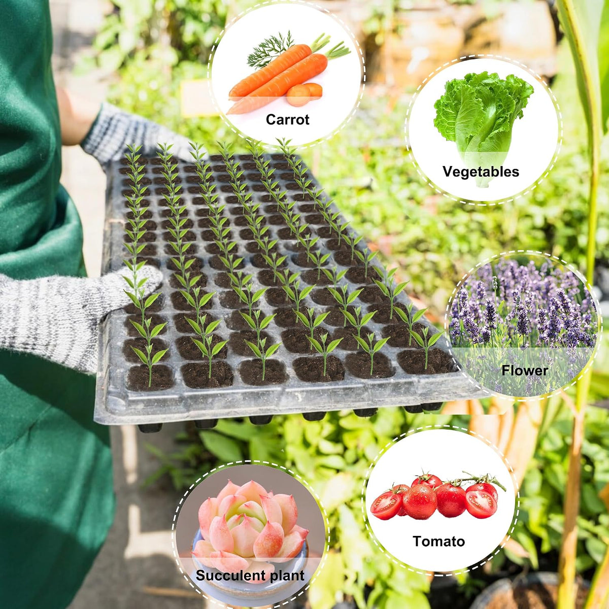 200 Cell Seed Starter Trays with Dibber – 20 Pack Reusable Seedling Trays for Germination Propagation, 200 Hole Soil Digger for Quickly Setting Out, Gift for Gardener