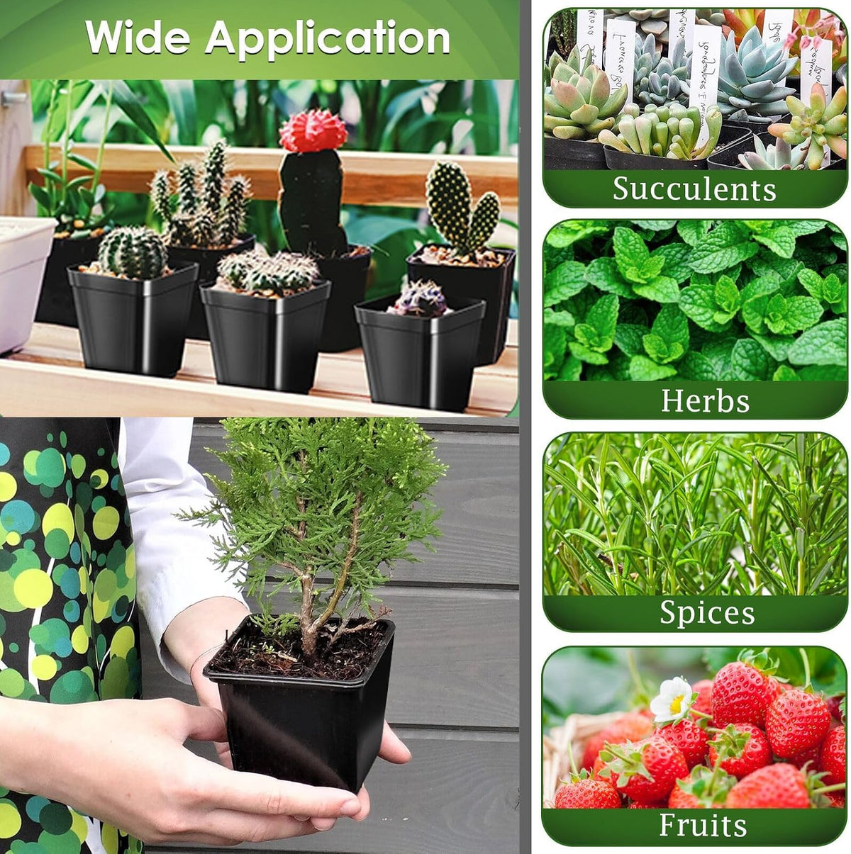 100 Pcs 2.6" Square Nursery Pots for Seeds - Thickened Reusable Plastic Seedling Pots with 60 Plant Labels & Tools - Seed Starter Pots with Drainage for Succulents, Flowers, Cuttings & Greenhouse