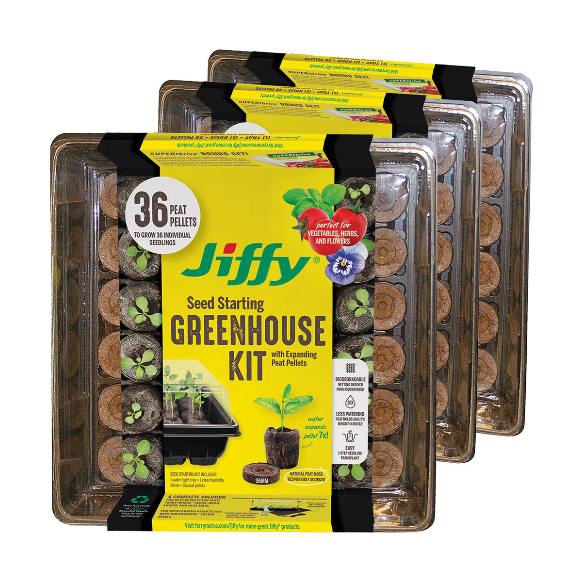 Jiffy Seed Starting Tray Kit - 36 Cell Germination Tray, Portable - 2 Pack, 72 Pellet