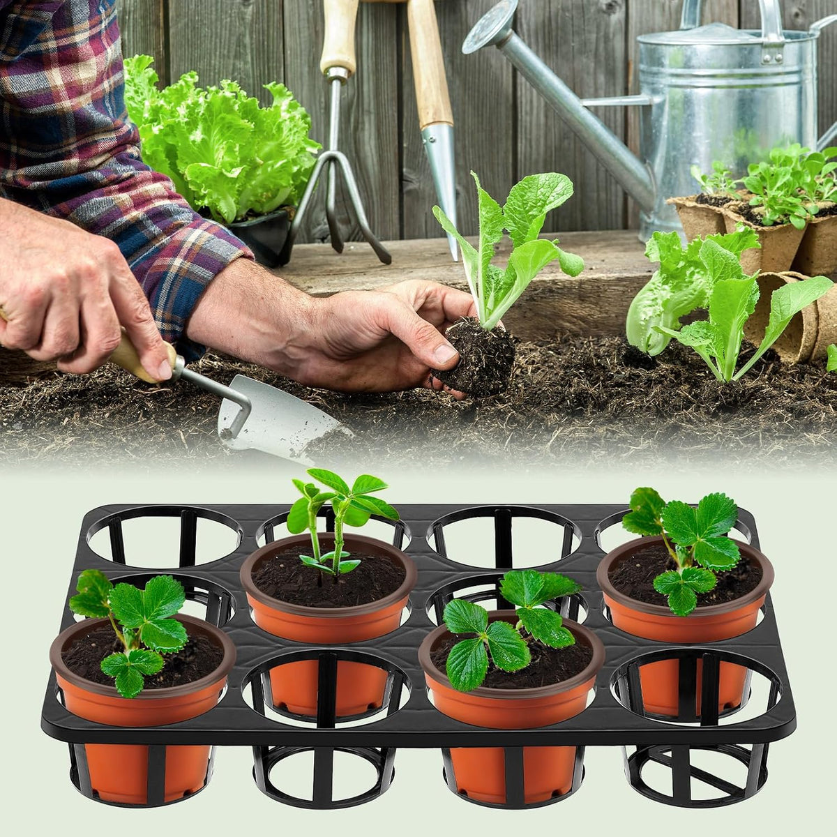 Vercraft 10 Pcs 12 Cell Nursery Planter Trays, for 4 Inch Round Pots