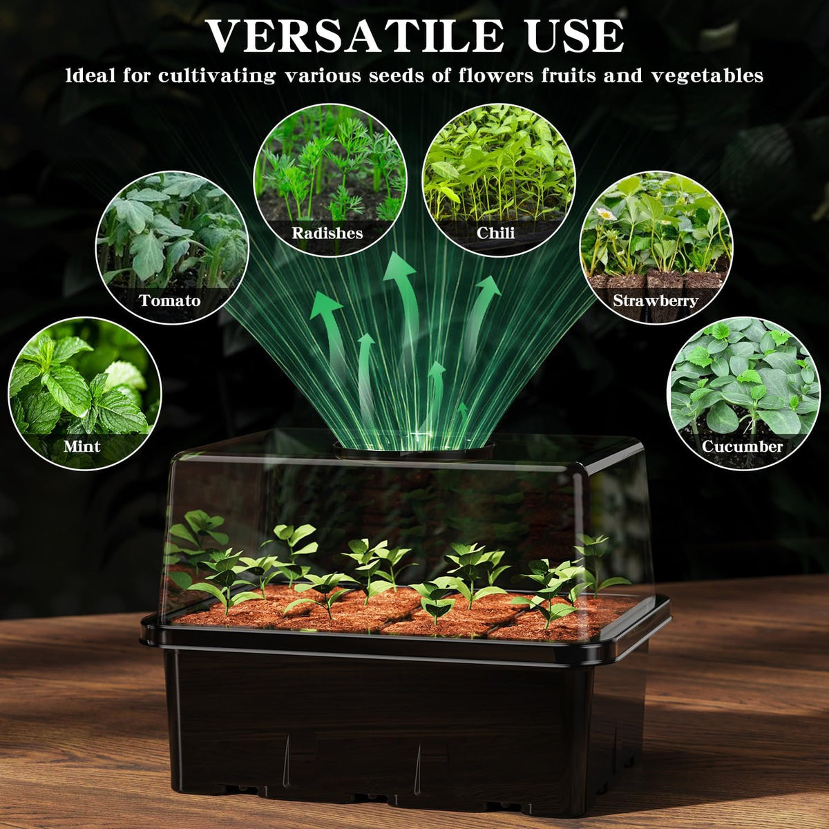 Seed Starter Tray with Grow Light, 5 Pack 60 Cells Seed Starter kit with Humidity Dome and Base, Plant Seedling Trays Indoor Greenhouse Gardening (Black 5 Pack)