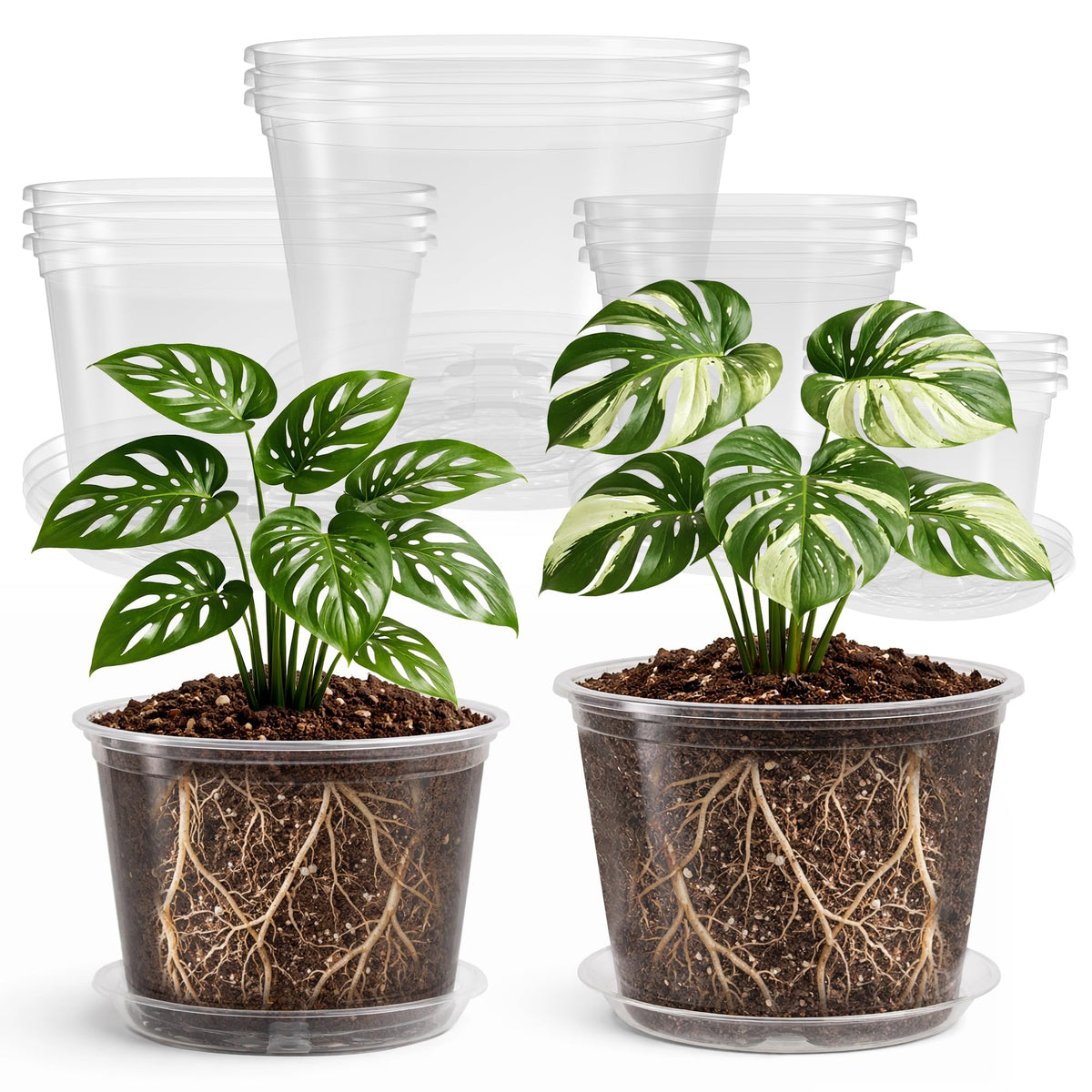 Bluepro Clear Nursery Pots with Drainage Holes, 3.5/4/5/7 Inch, 36-Pack