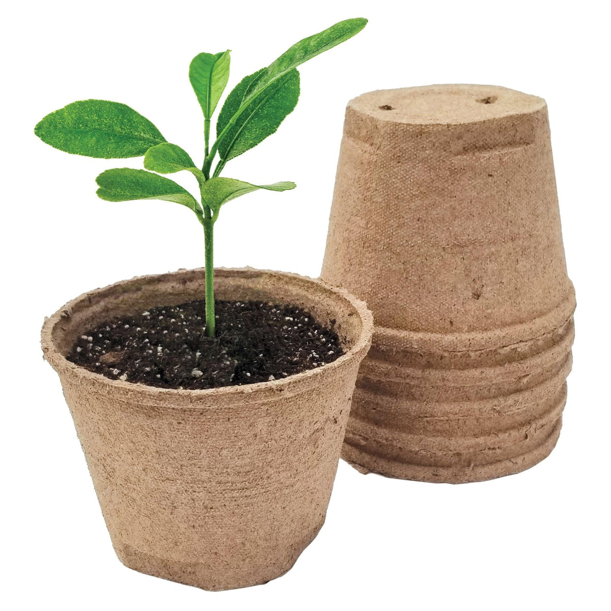 Jiffy Biodegradable Peat Pots for Seedlings, 5 Inch, 24 Pack