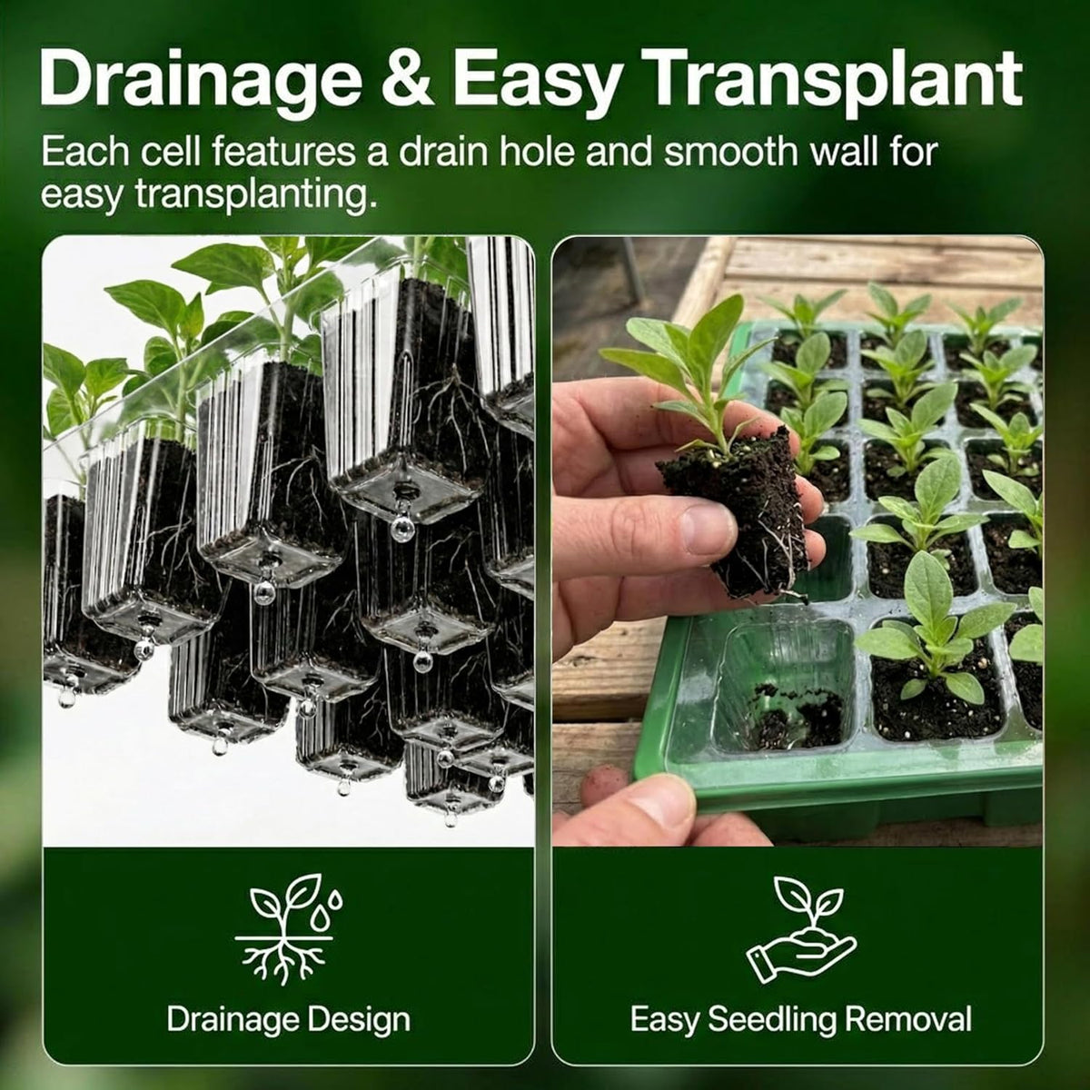 Gardzen 5 Pack 40 Cell BPA Free Seed Starter Tray Kit