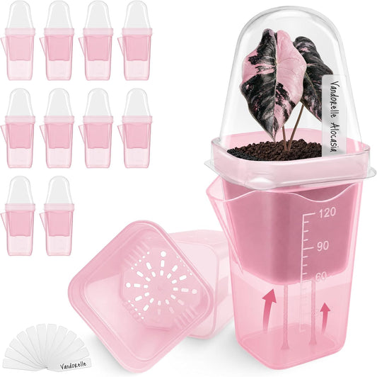 12 Pack 2" Small Pink Self Watering Pots with Humidity Dome for Indoor Plants,Clear Seed Starter Cup,Tissue Culture Acclimation Kit,Alocasia Corm Propagation,African Violet,Cutting,Seedling
