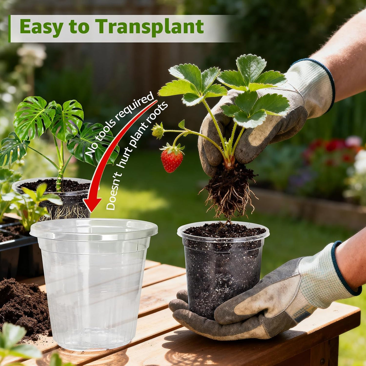 MIXC Clear Nursery Pots with Drainage Holes, 7/5/4/3.5 Inch 36 Pack