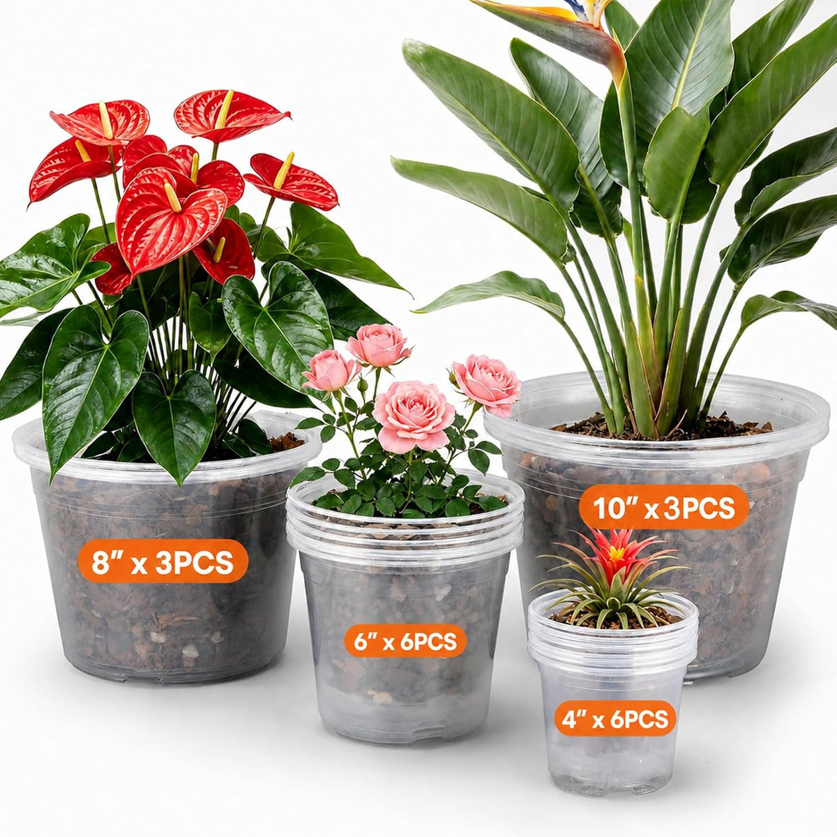 18-Pack Clear Nursery Pots with Drainage, Transplant Set, More Small Pots