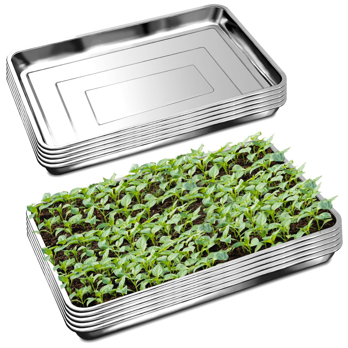 RooTrimmer 5 Pack Large Stainless Steel Seedling Trays, Heavy Duty Metal Water Catch Trays for Nursery Pots-Transplant, Seed Germination & Propagation Flats (17.5 inch×13.56 inch, 1.18" Height)