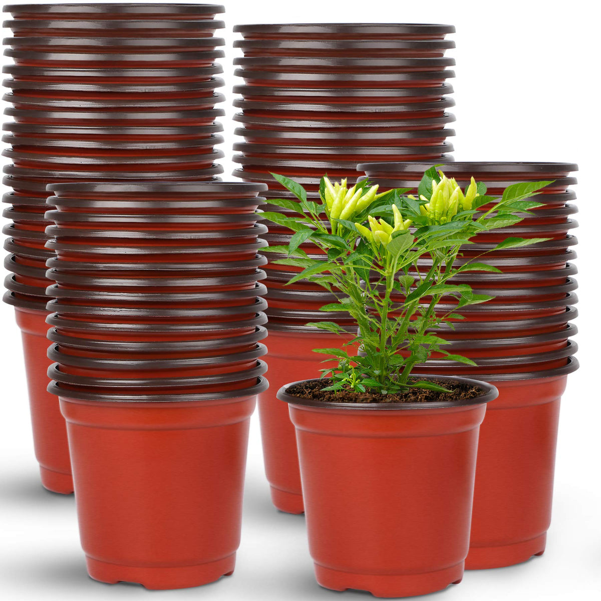 Augshy 220Pcs 4 Inches Plastic Plant Nursery Pots Seed Starting Containers