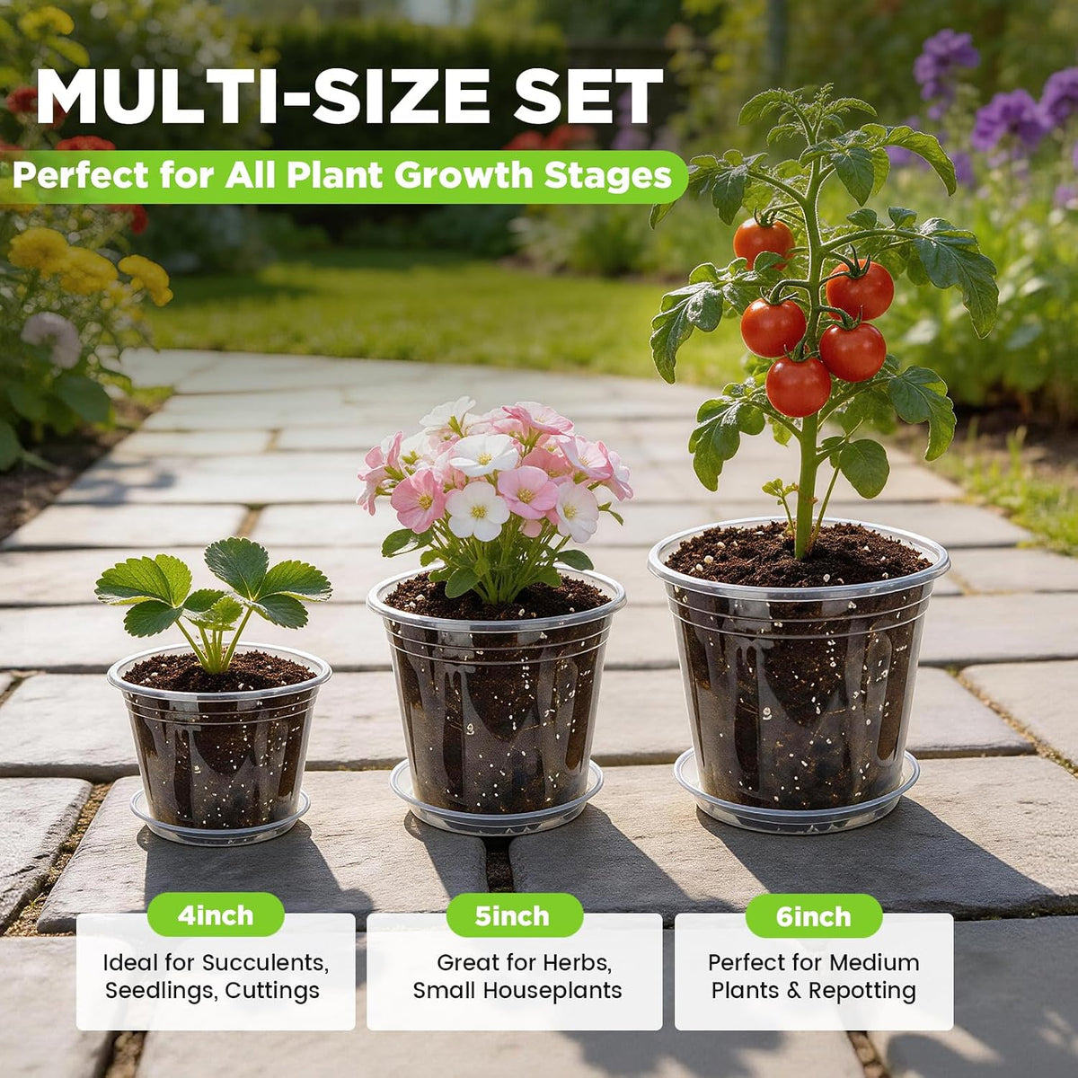 4/5/6 Inch Clear Nursery Pots with Drainage and Saucer for Multiple Crops