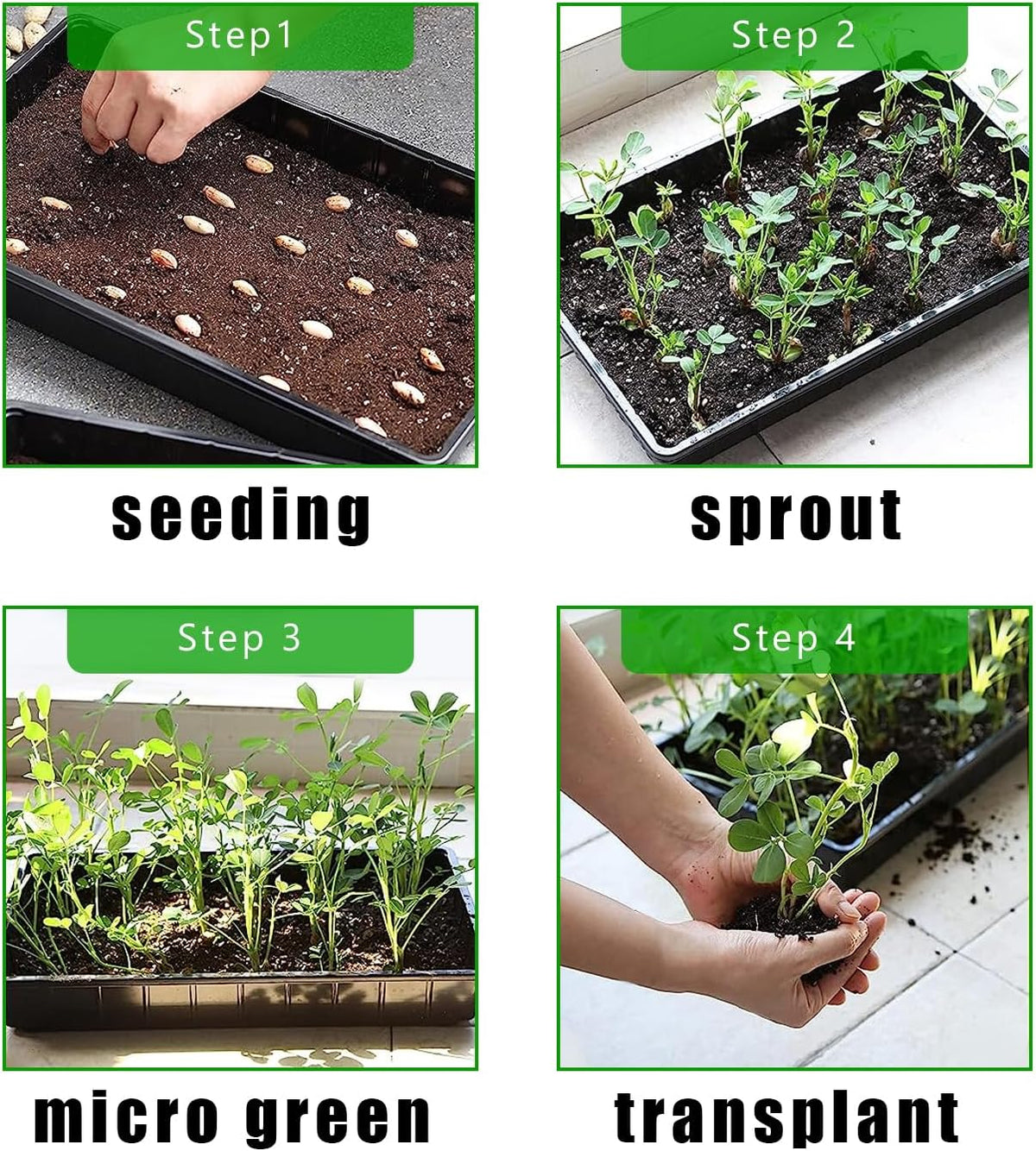 RooTrimmer 10 Pack 1020 Trays, Extra Thick Heavy Duty Seed Starting Trays - No Holes, No Leak, Reusable Propagation Flats for Microgreens, Seedlings, Plant Germination, Fodder and Transplant