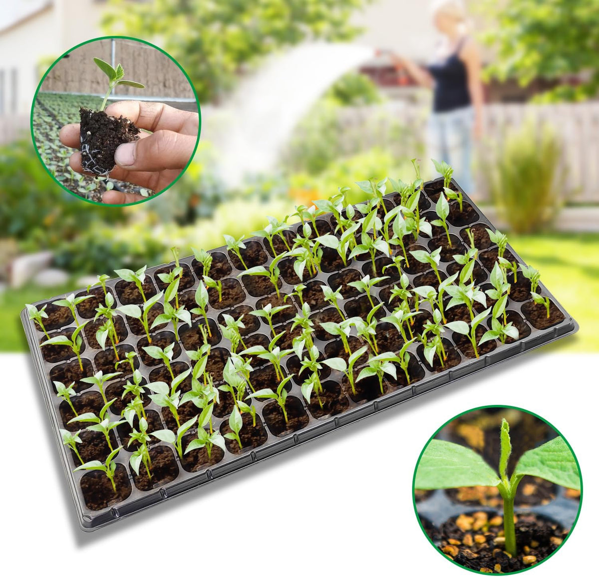 RooTrimmer 10 Pack 1020 Seed Starter Trays and 10 Pcs 72 Cell Plug Trays, Thick Durable Seedling Plastic Nursery Tray for TD538 1020 Tray Germination (10 Sets)