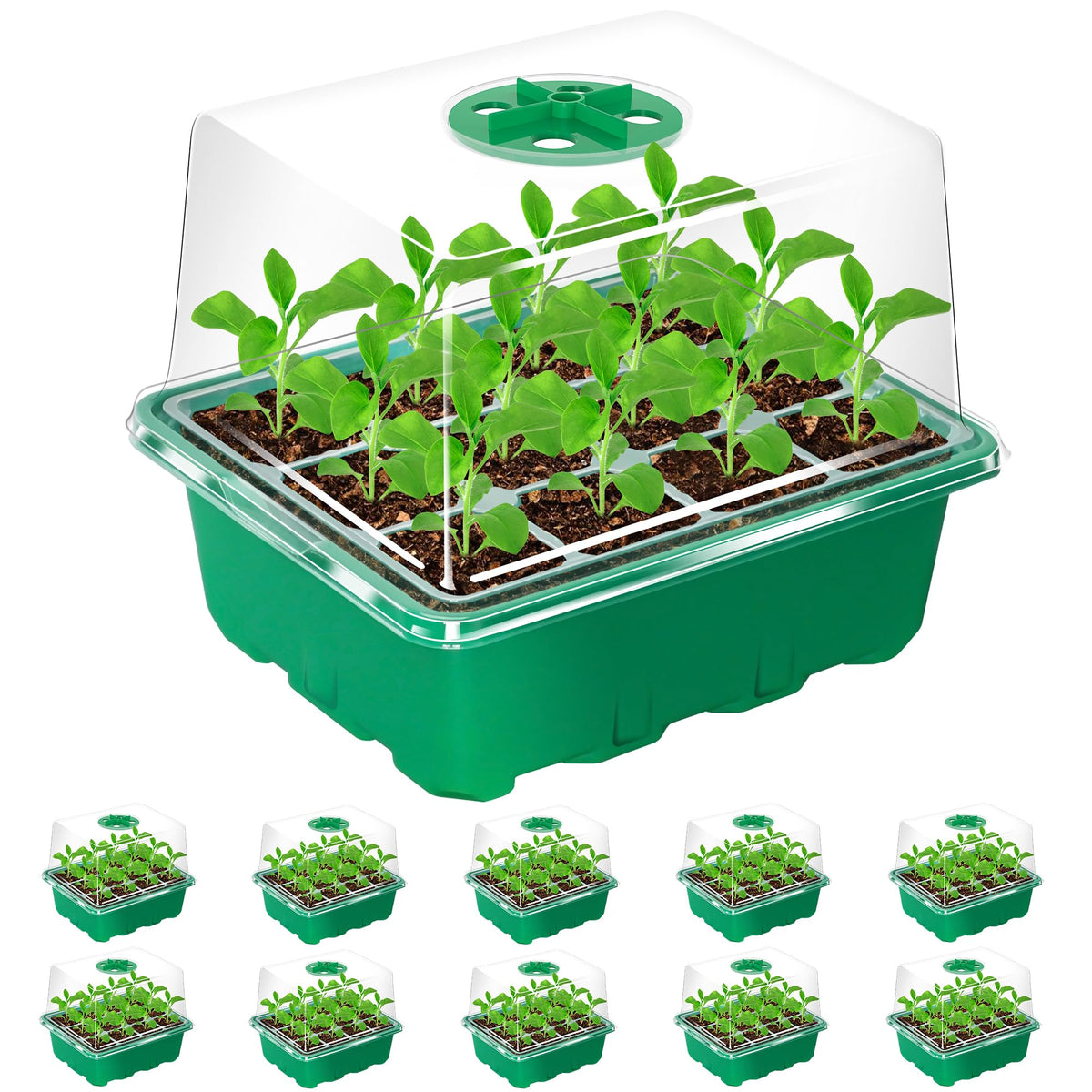 Bonviee 10-Pack Seed Starter Trays, Tall Dome, Base, 12-Cell Tray, Clear